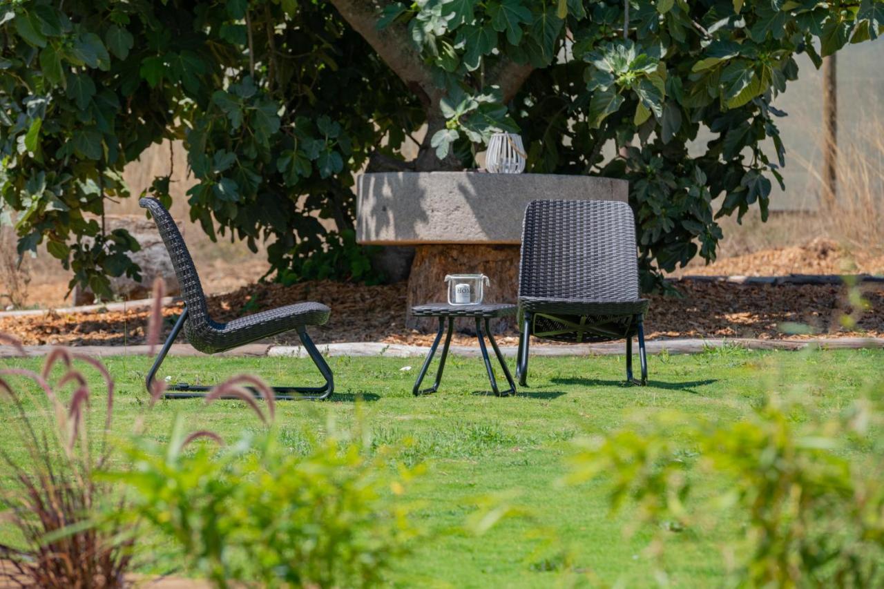 Casas Da Bica - Turismo Espaco Rural Cercal do Alentejo Eksteriør billede